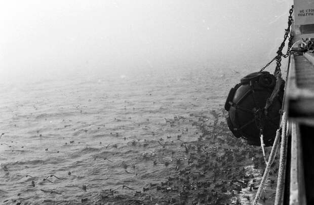 Как я бросил всё ради работы на морском судне. Изображение №25.