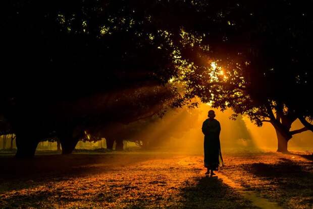 лучшие заявки Sony World Photography Awards 2015 (11)