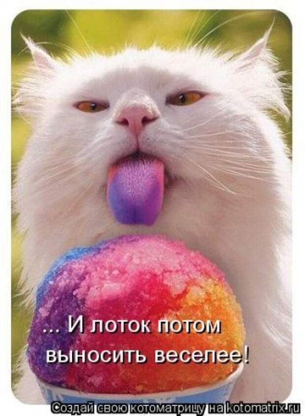 Смешная котоматрица