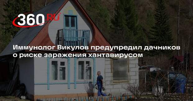 Иммунолог Викулов предупредил дачников о риске заражения хантавирусом