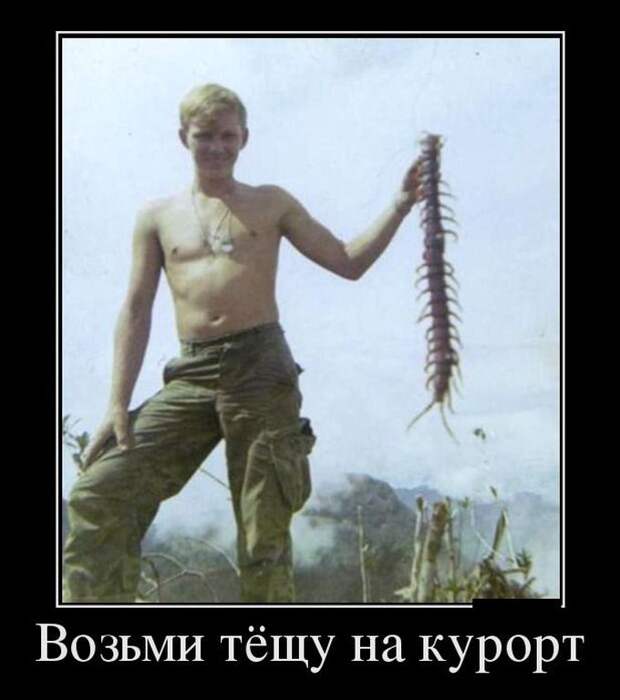 Подборка демотиваторов  демотиватор, юмор