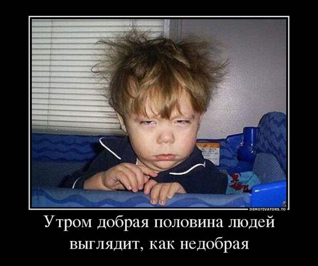Демотиваторы  демотиваторы, прикол, смех, юмор
