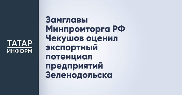 Замглавы Минпромторга РФ Чекушов оценил экспортный потенциал предприятий Зеленодольска