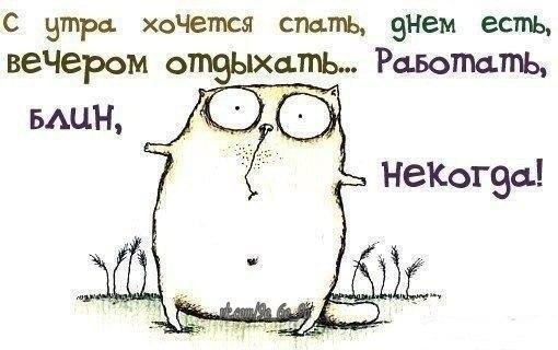 Спать охота, а тут еще прикол, работа, сон, юмор