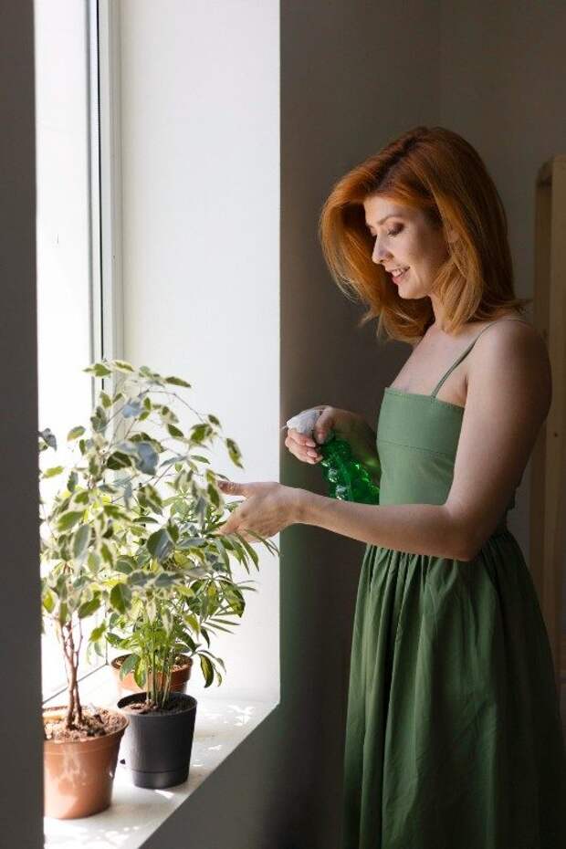 Почему все начали массово выращивать комнатные растения