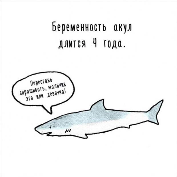 Интересные факты о животных в забавных рисунках (17 картинок)