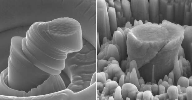 magnesium+comparison_0c05ef44-03a5-44be-ad60-97d3ff88351e-prv