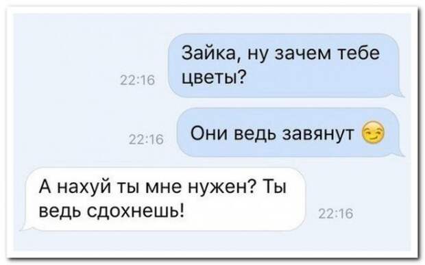 комментарии из социальных сетей.