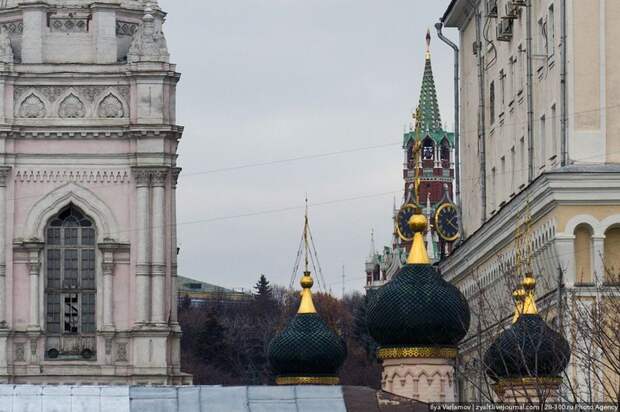 Сосед президента (16 фото)