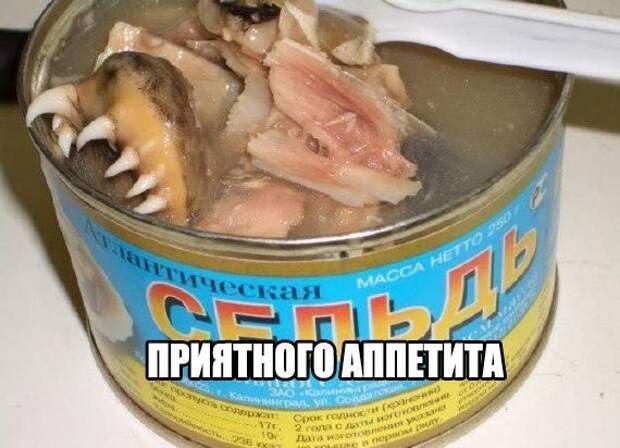 Фразы в картинках. Супер!