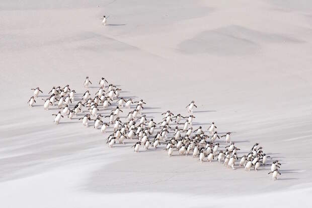 Лучшие фотографии чарующей природы на конкурсе 2015 It's Amazing Out There Photo Contest