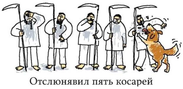 картинки в буквальном смысле слова