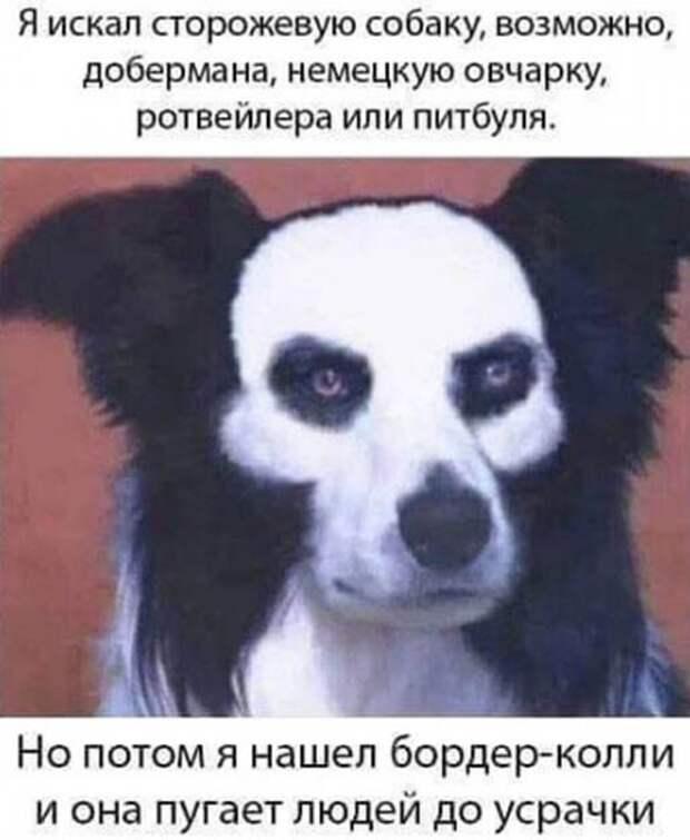 Отличный вариант) Отличный вариант)