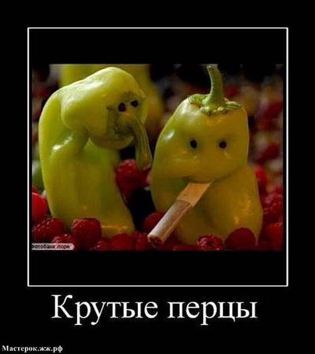 Посмотри в лицо ЕДЕ !