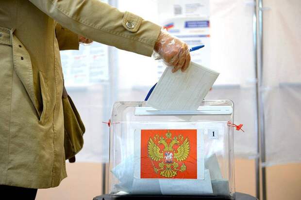 Неделя до дня голосования: прогнозы экспертов об итогах выборов в Госдуму