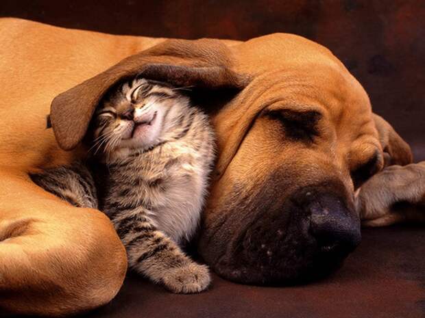 friendship2