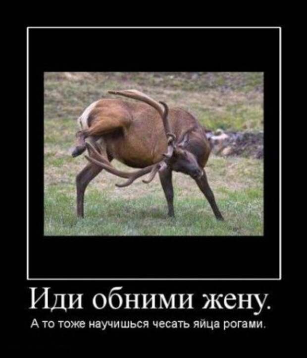 Демотиваторы- поулыбаться)