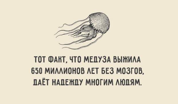 открытки припитанные сарказмом