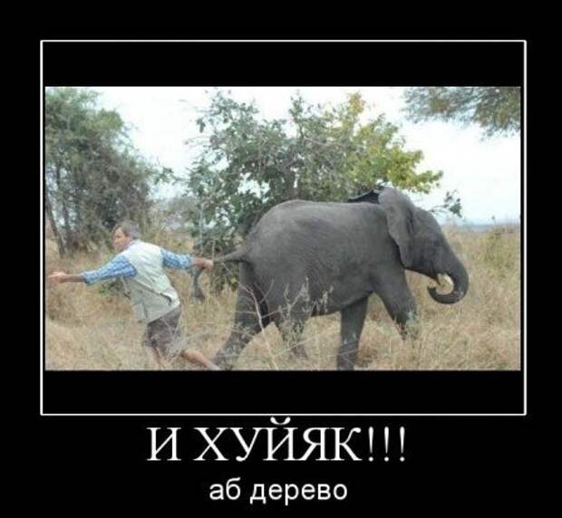 Демотиваторы, юмор и сатира, не смешных у нас не бывает.