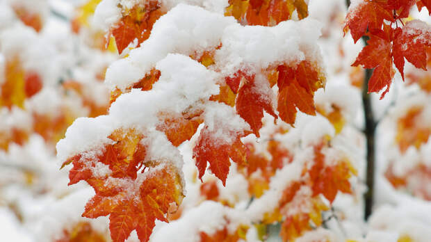 Завтра по всей Украине ожидаются снегопады и снежные заносы – прогноз