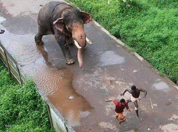 Фото-анекдоты Фото-анекдоты Анекдоты, история, прикол, юмор