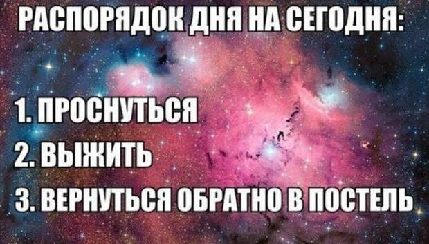 Доза позитива в прикольных картинках (49 шт)