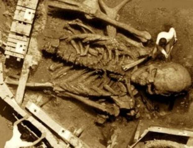 skeleton-1