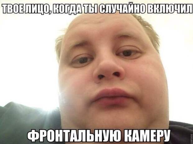Картинки