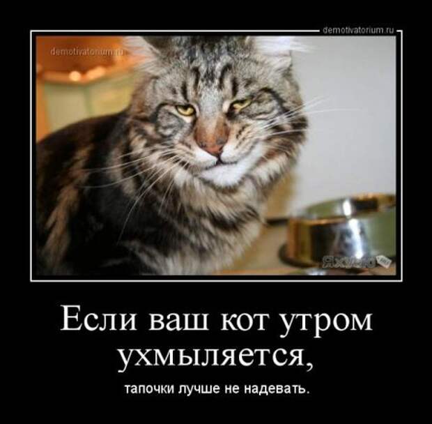 Демотиваторы демотиваторы, прикол, смех, юмор