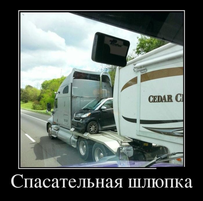 Демотиваторы №1066 (30 фото)