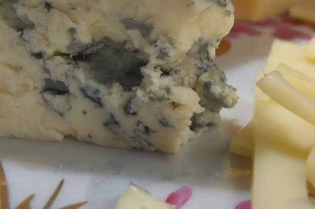 Эксперты объяснили, когда сыр с плесенью становится угрозой для здоровья