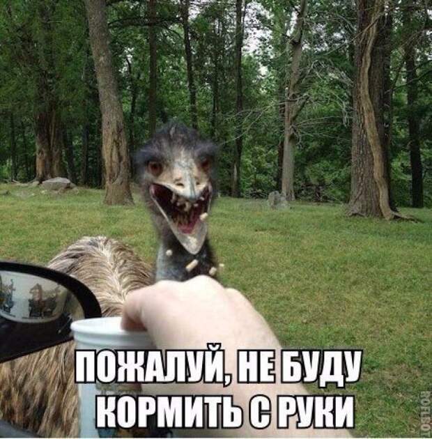 Смехопанорама. Кайф!