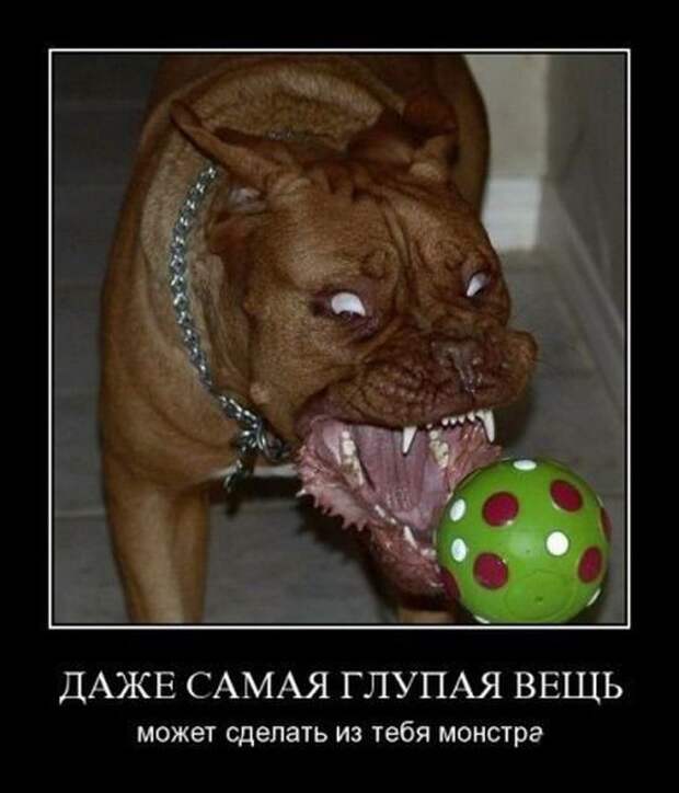 Демотиваторы Демотиваторы демотиваторы, прикол, юмор