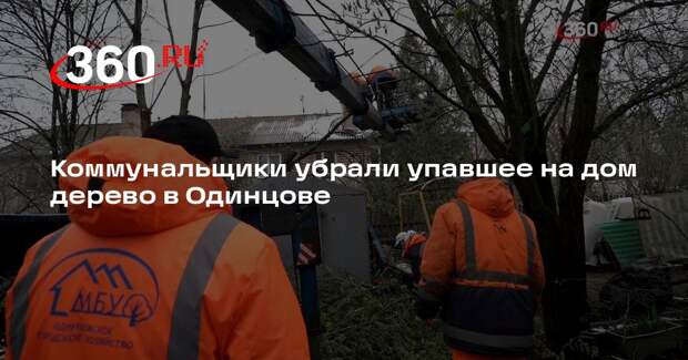 Коммунальщики убрали упавшее на дом дерево в Одинцове