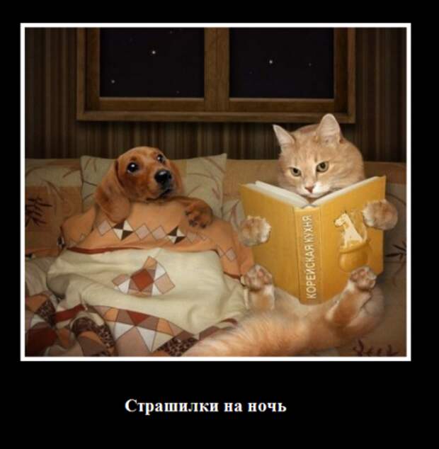 Мои демотиваторы, оцените творчество.