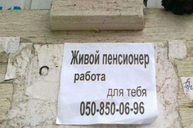 Смешные надписи и объявления Смешные надписи и объявления