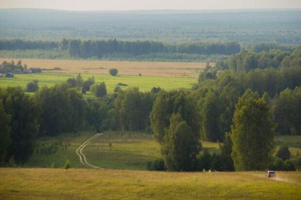 Родные просторы: несколько характерных русских пейзажей красота, поле, природа, родина, россия, русский дух, эстетика
