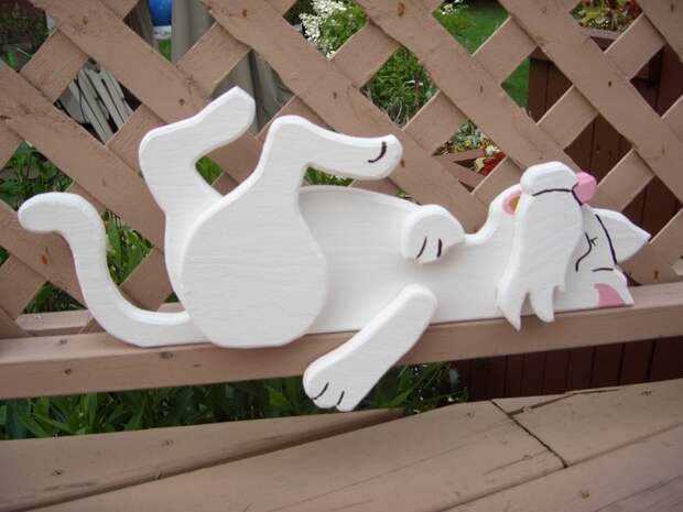 chat sur le dos