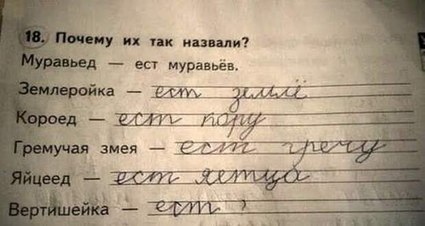 12903460-R3L8T8D-600-detskie_zapiski_10