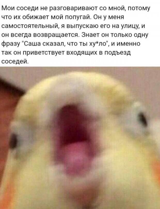 Немного картинок для настроения
