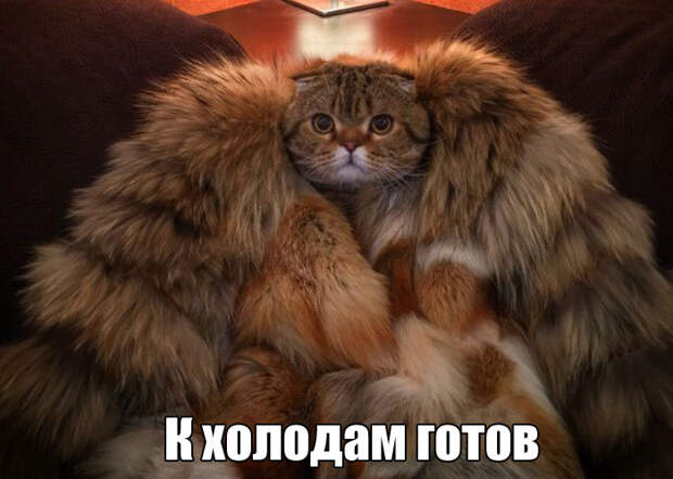 Прикольные картинки. Вечерний выпуск (53 фото)