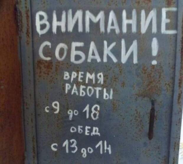 Не задался день? Просто прочтите это — и вам полегчает! Не задался день? Просто прочтите это — и вам полегчает!