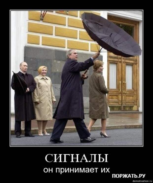 Для любителей демотиваторов