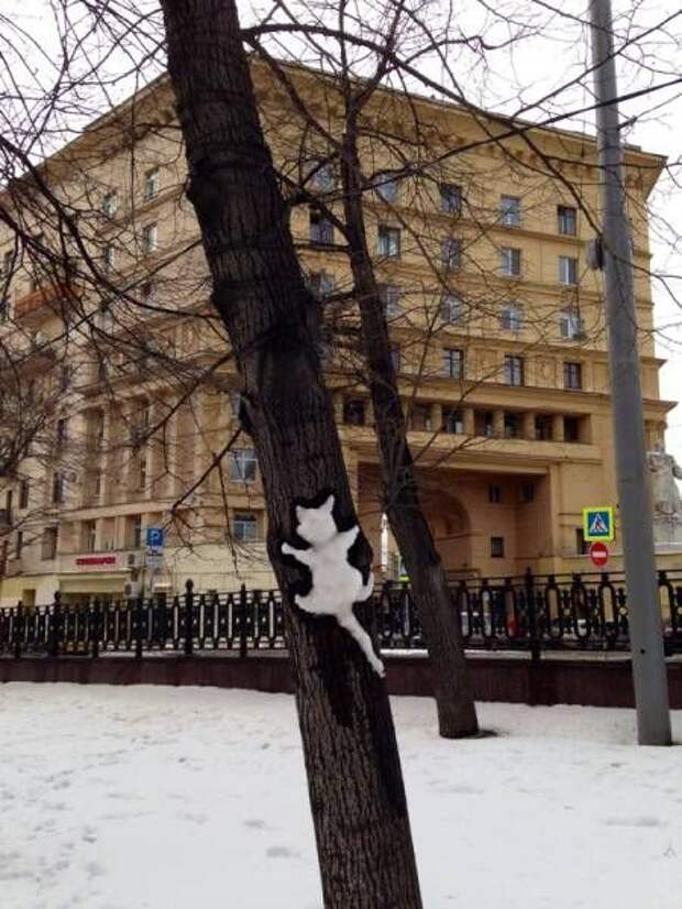 Прикольные картинки. Вечерний выпуск (62 фото)