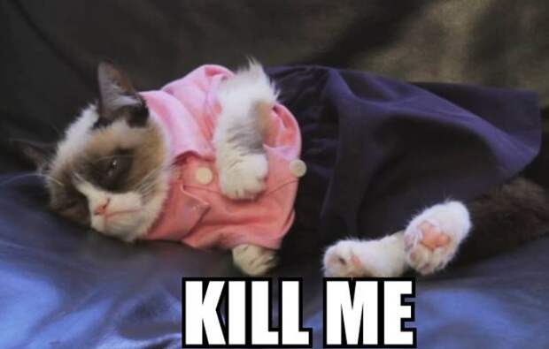 26 вещей, которые французам кажутся странными в США