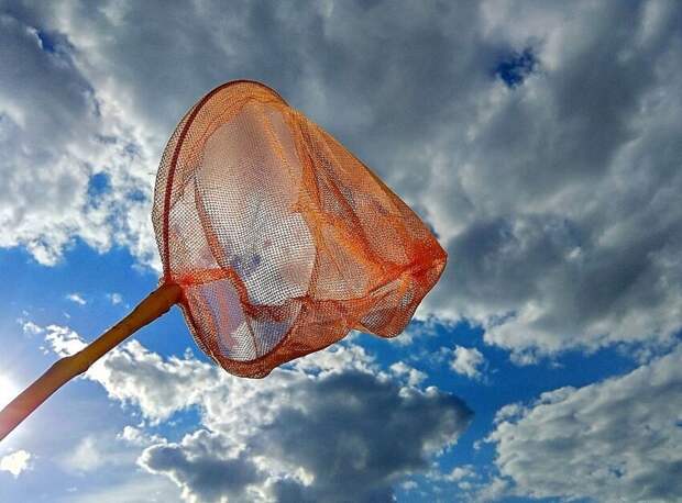 Истинное значение слова «сачковать»