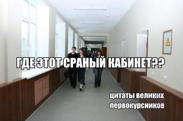 Смешные картинки с надписями видео, прикол