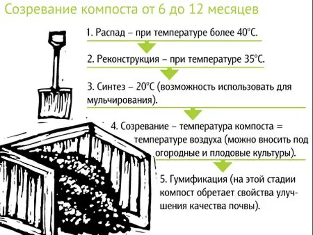 Компостная куча как ускорить созревание. Схема укладки компоста. Фазы созревания компоста. Компостная куча схема. Компост схема.