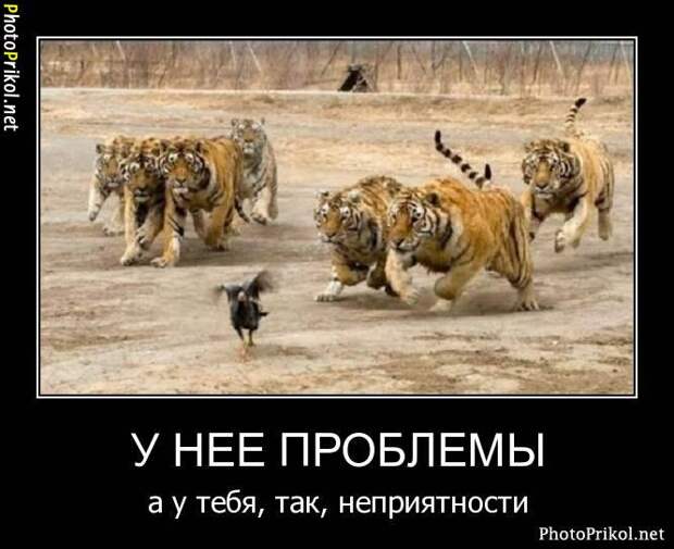 Демотиваторы новые (67 демотиваторов) Демотиваторы новые (67 демотиваторов)