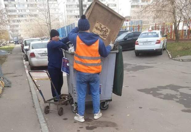Мусор. Фото: Дмитрий Сорокин